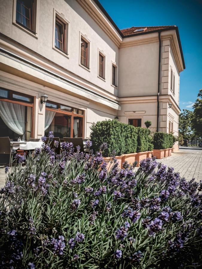 Restaurant Pansion Wien Cierny Brod Luaran gambar