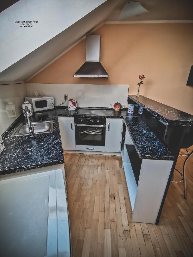 Restaurant Pansion Wien Cierny Brod Luaran gambar