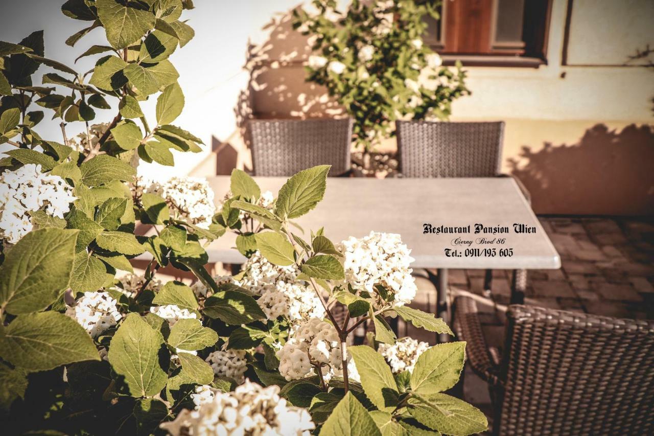 Restaurant Pansion Wien Cierny Brod Luaran gambar